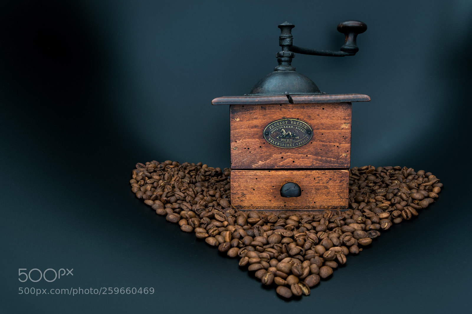 Nikon D5300 sample photo. Peugeot coffee mill of photography