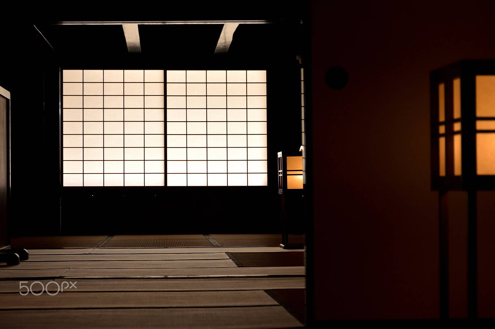 Nikon D5500 sample photo. Lights photography