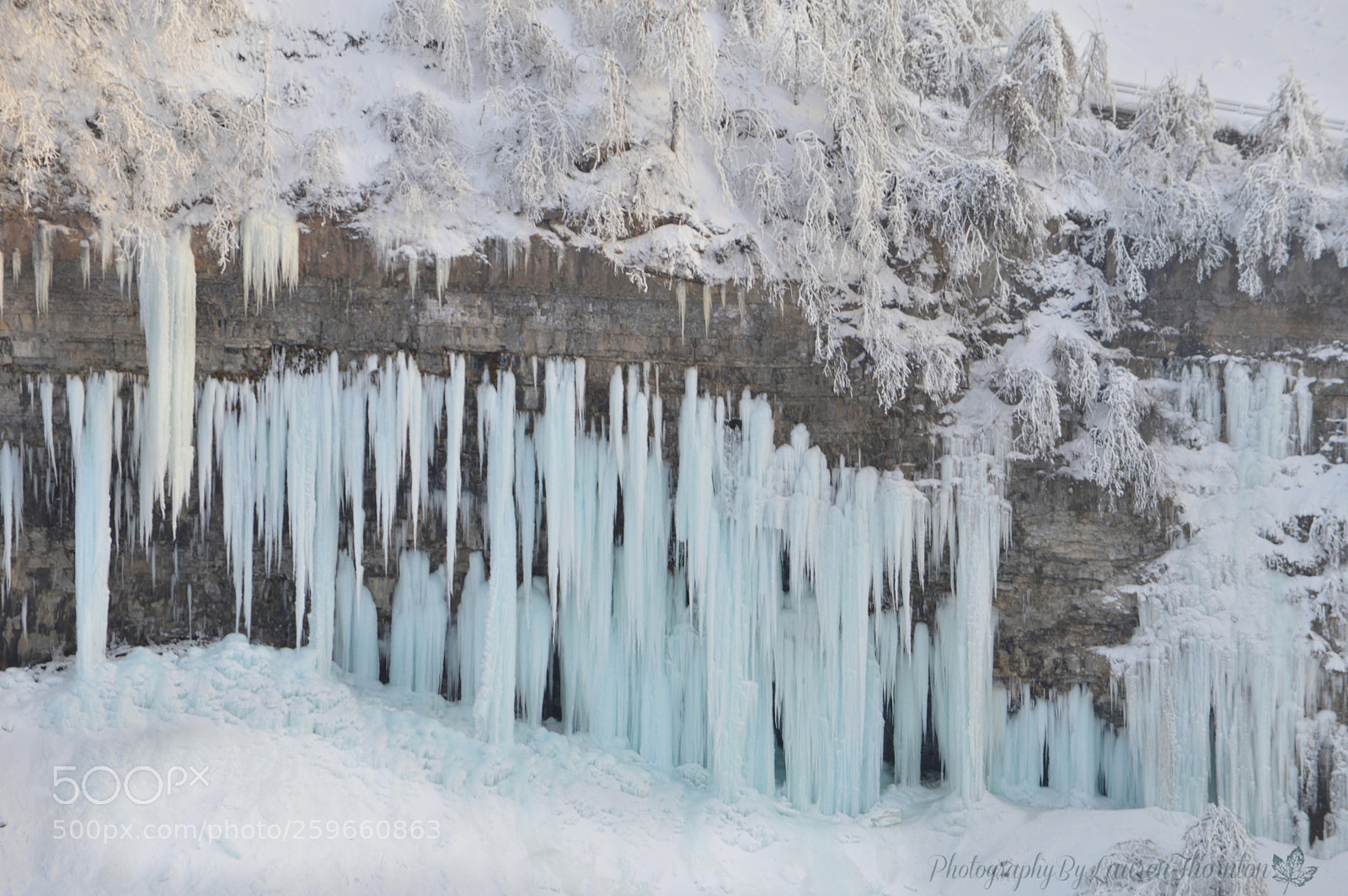 Nikon D3200 sample photo. Frozen icicles at the photography