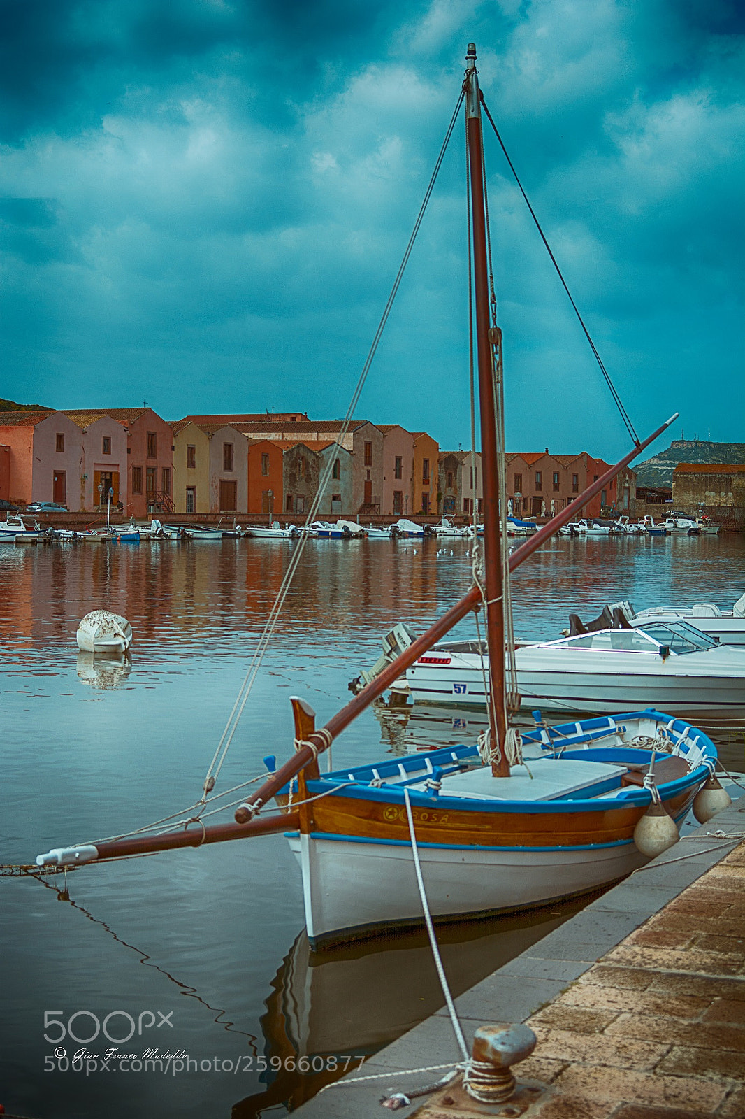 Nikon D7100 sample photo. Bosa in posa. photography