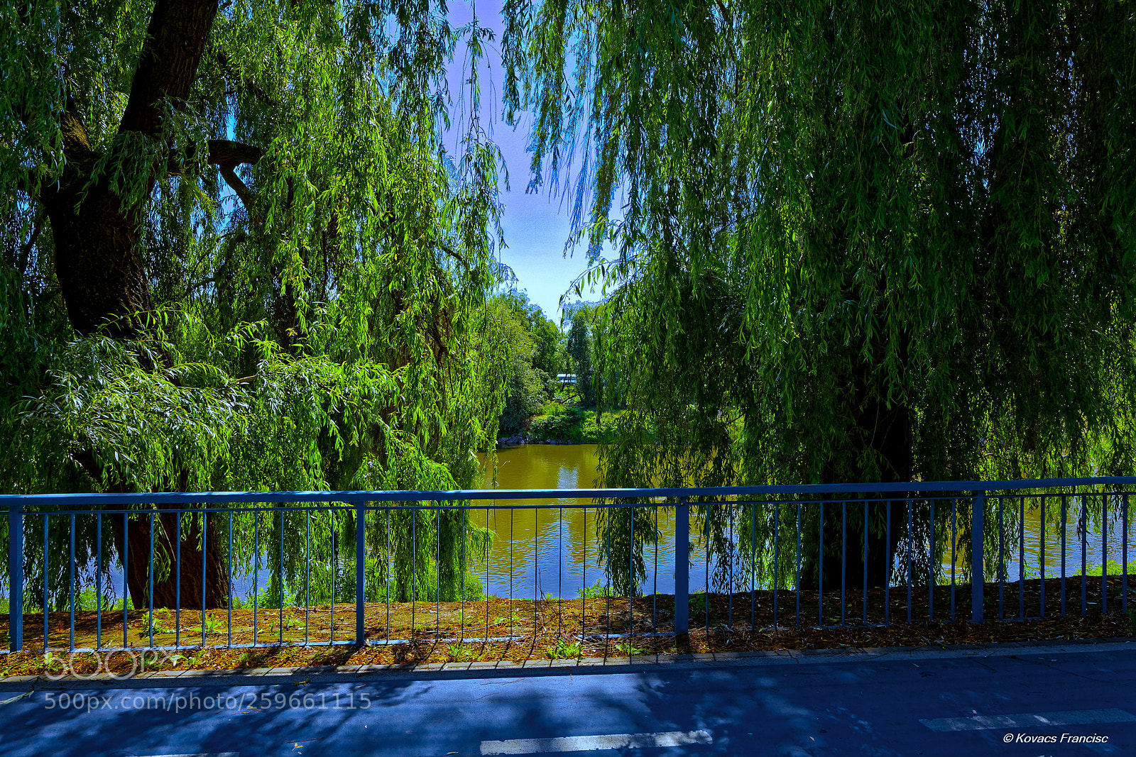 Canon EOS 5D Mark II sample photo. A typical day photography