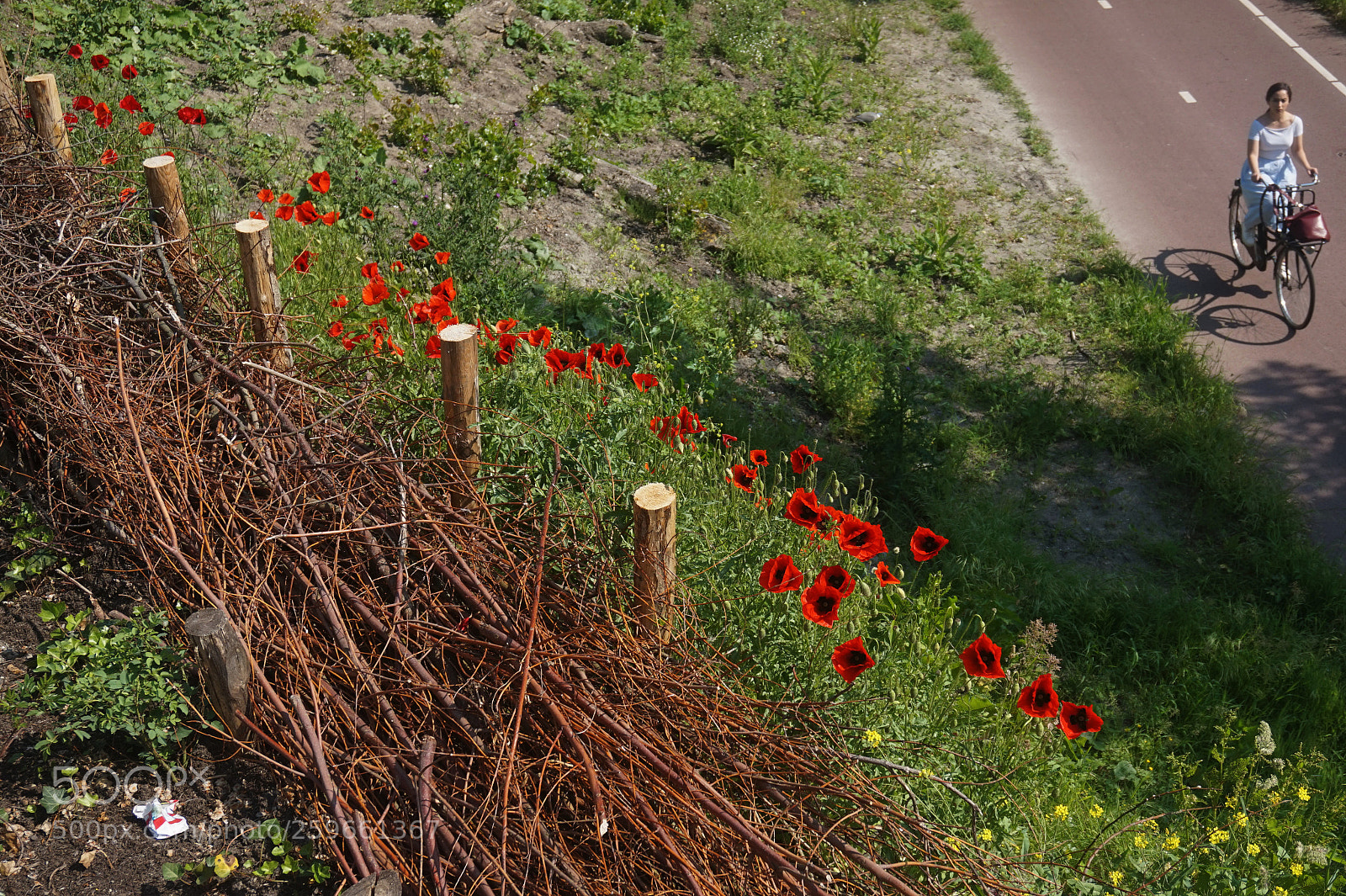 Sony Alpha a5000 (ILCE 5000) sample photo. Untitled photography