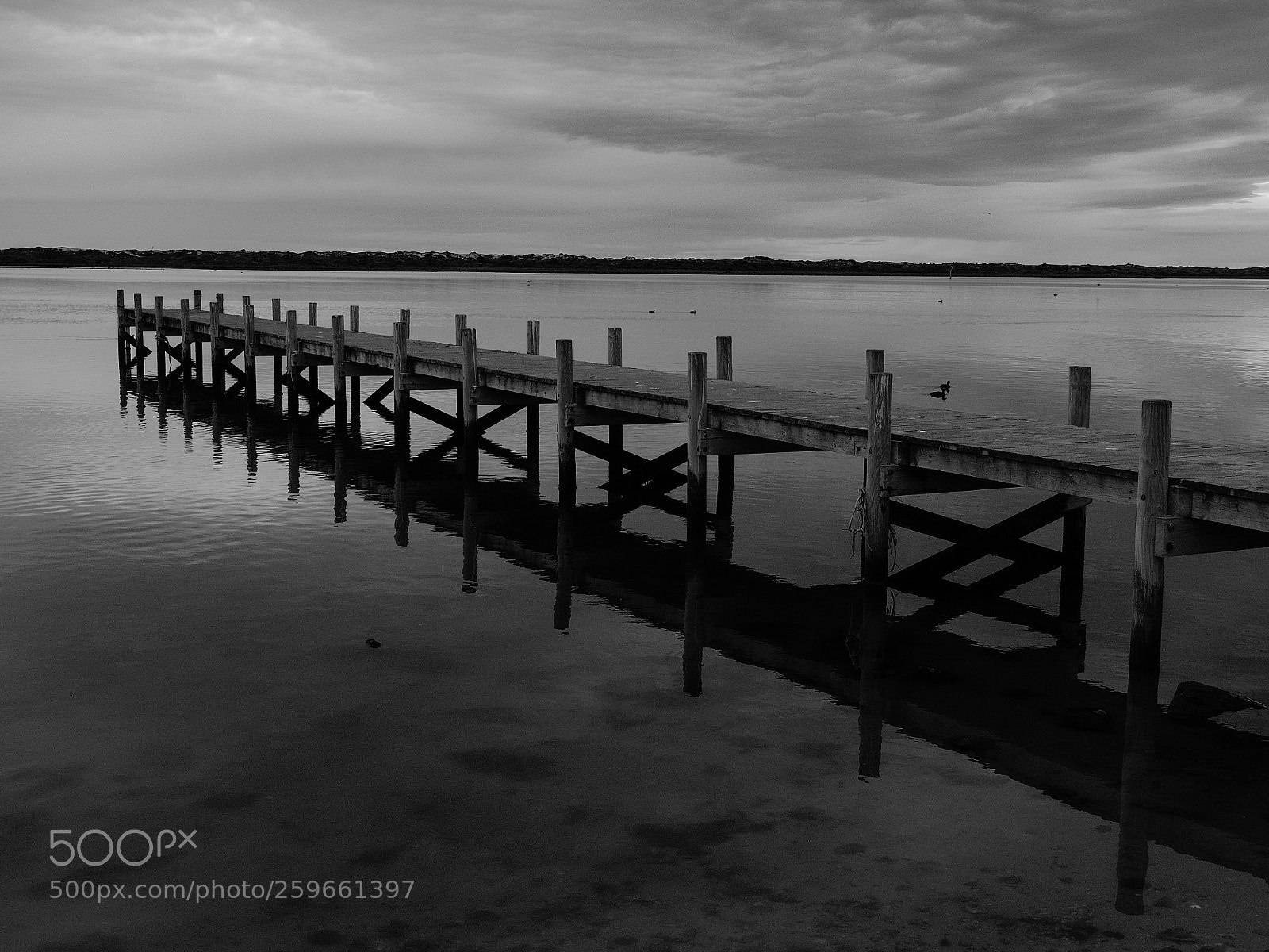 Olympus OM-D E-M1 sample photo. Hindmarsh island photography