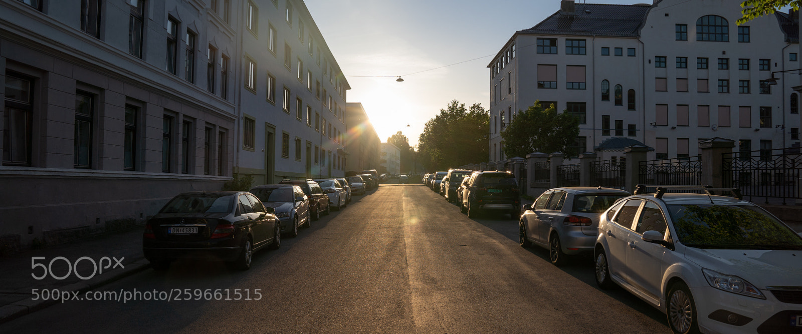 Sony a7 III sample photo. Untitled photography