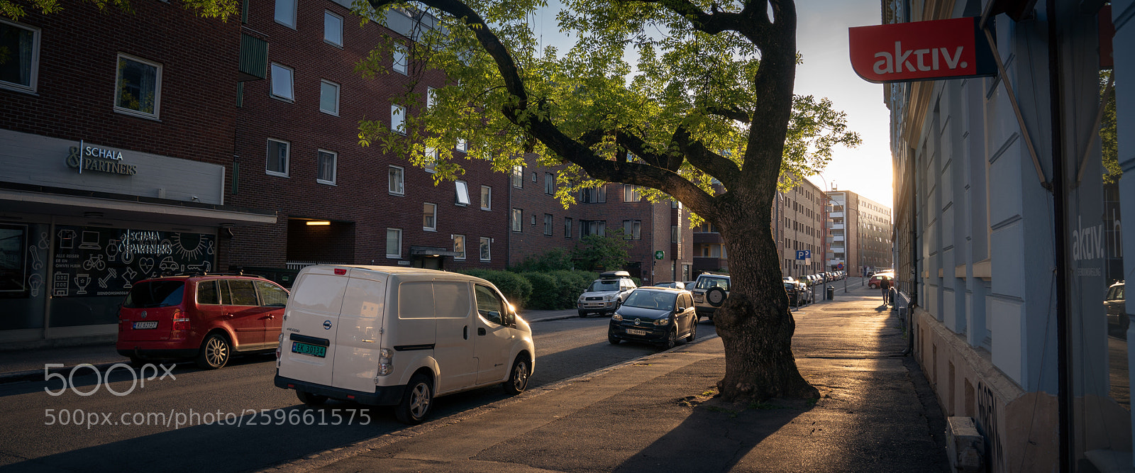 Sony a7 III sample photo. Untitled photography