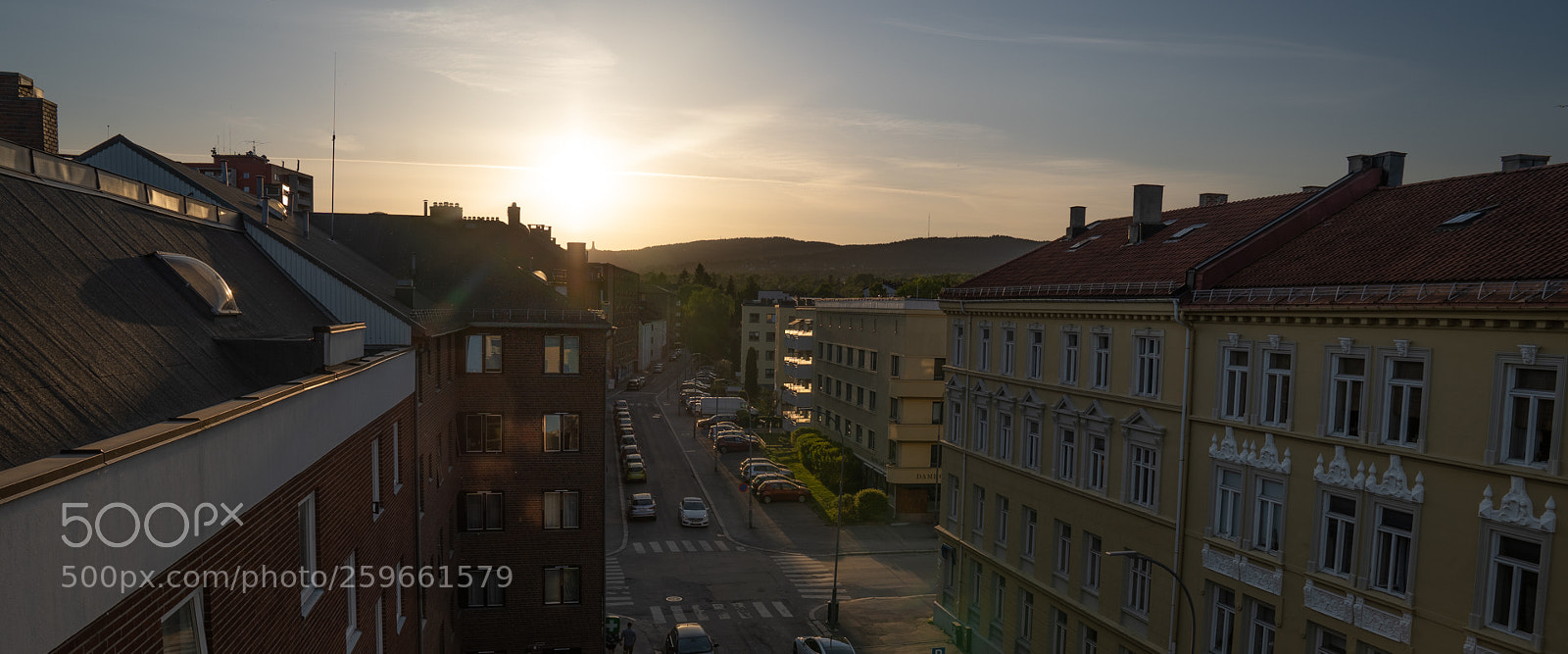 Sony a7 III sample photo. Untitled photography