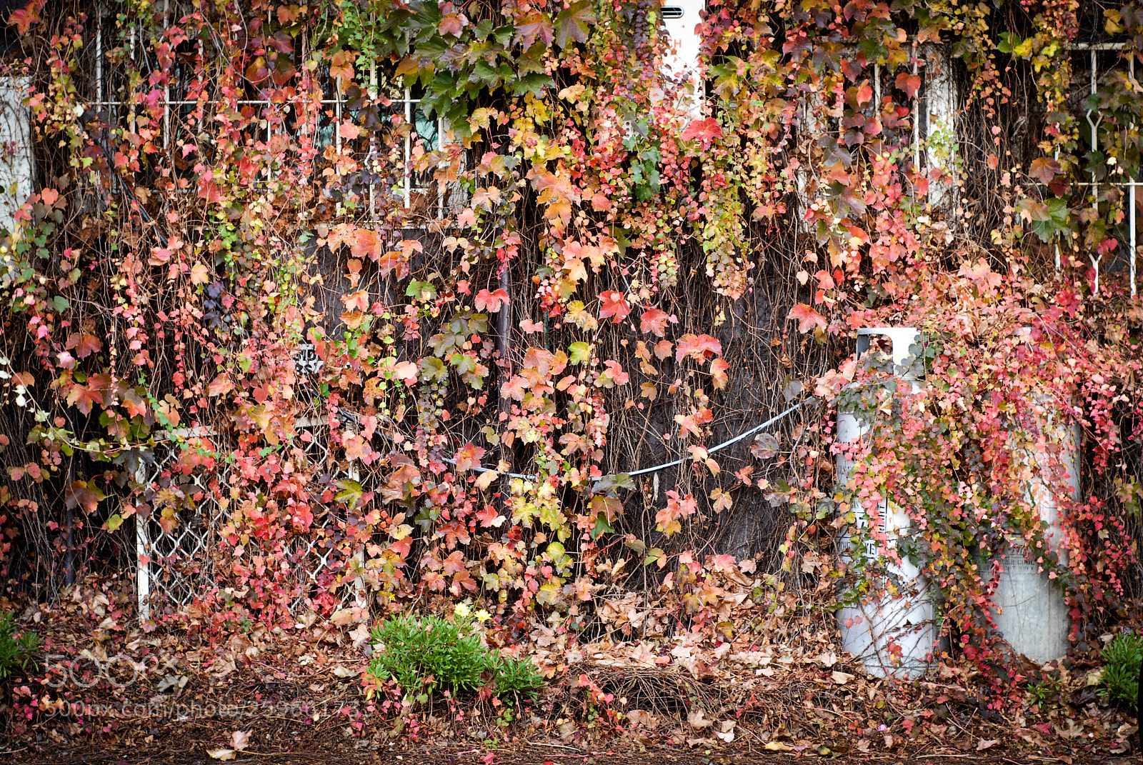 Nikon D200 sample photo. Quiet photography