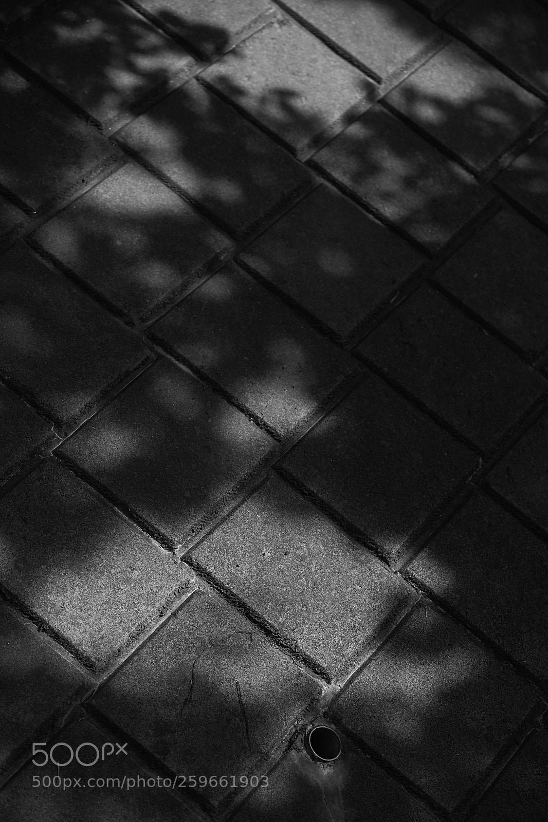 Sony a7 sample photo. Street 326 photography