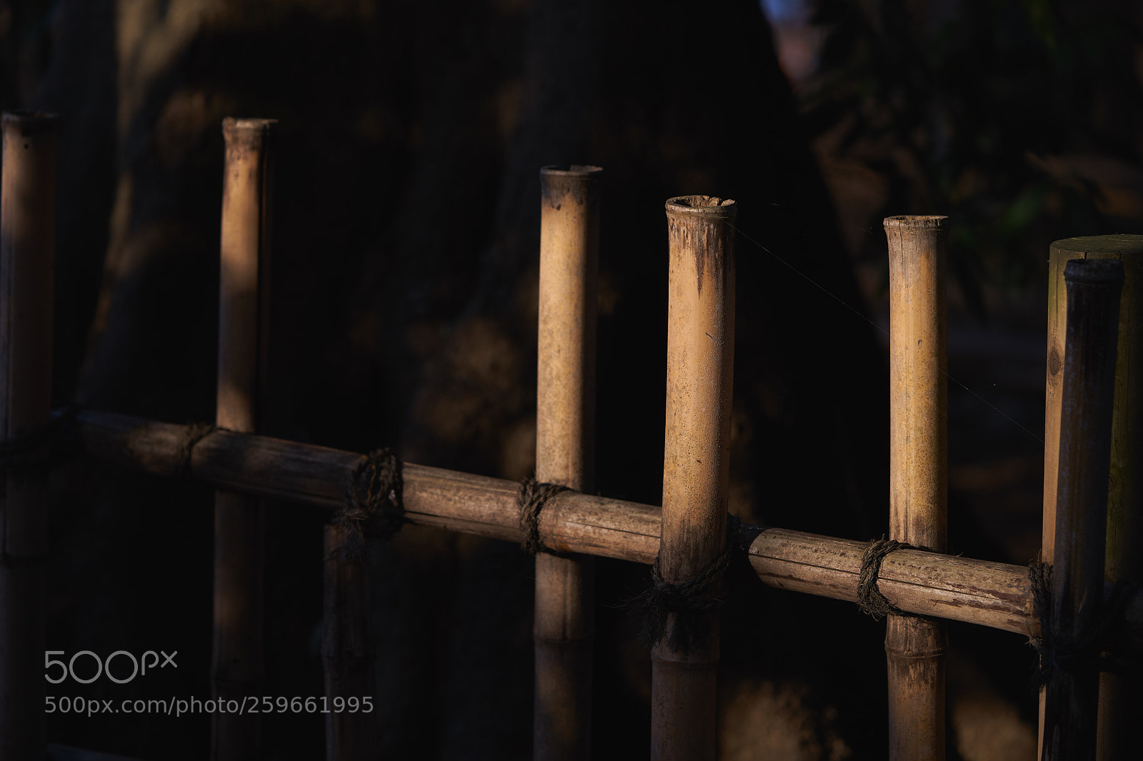 Sony a7 sample photo. Street 327 photography