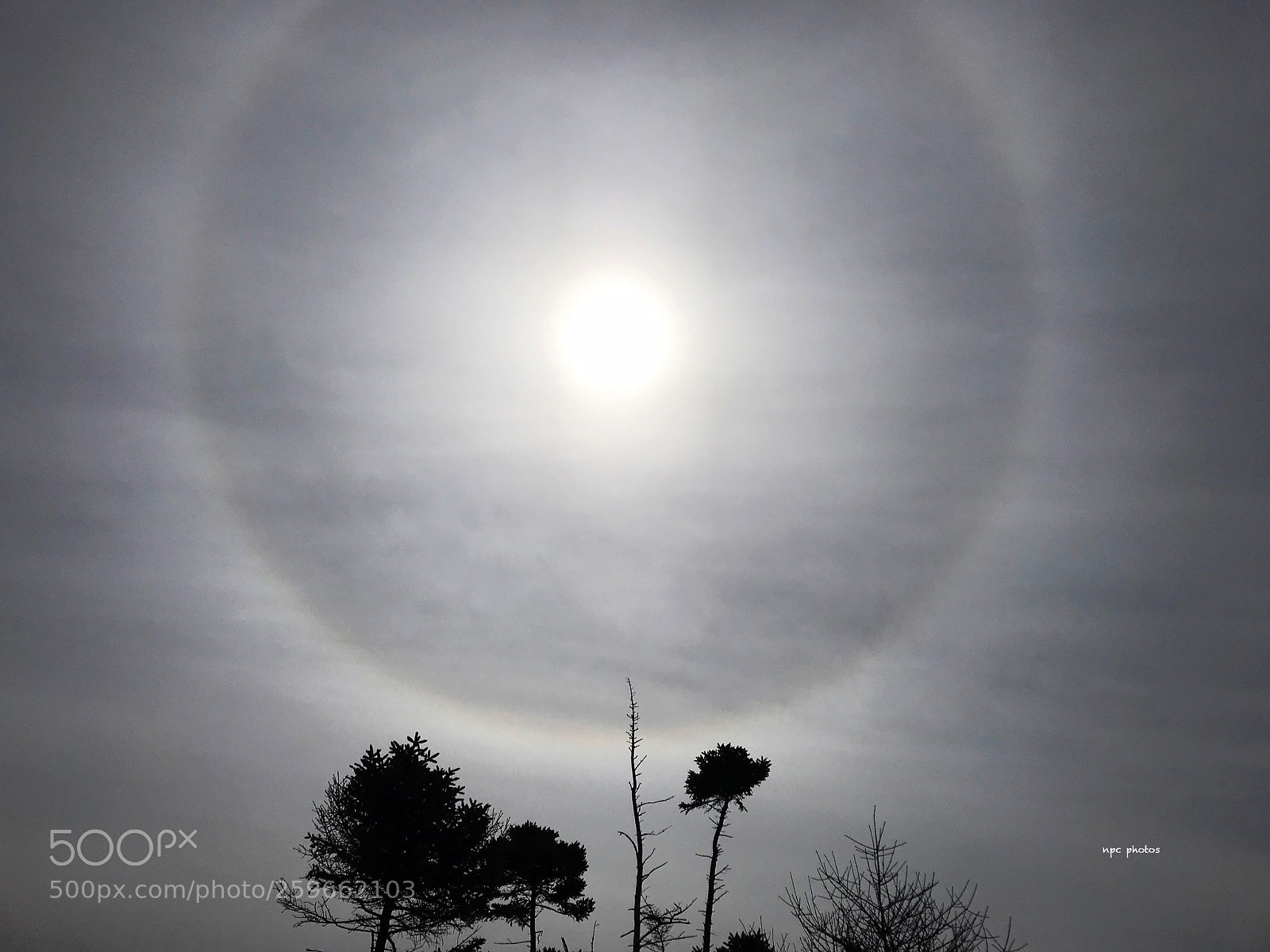 Apple iPhone 7 Plus sample photo. Circle around the sun photography