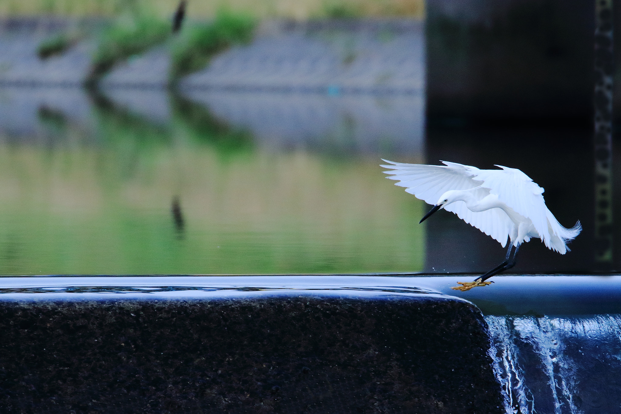 Canon EOS 7D Mark II sample photo