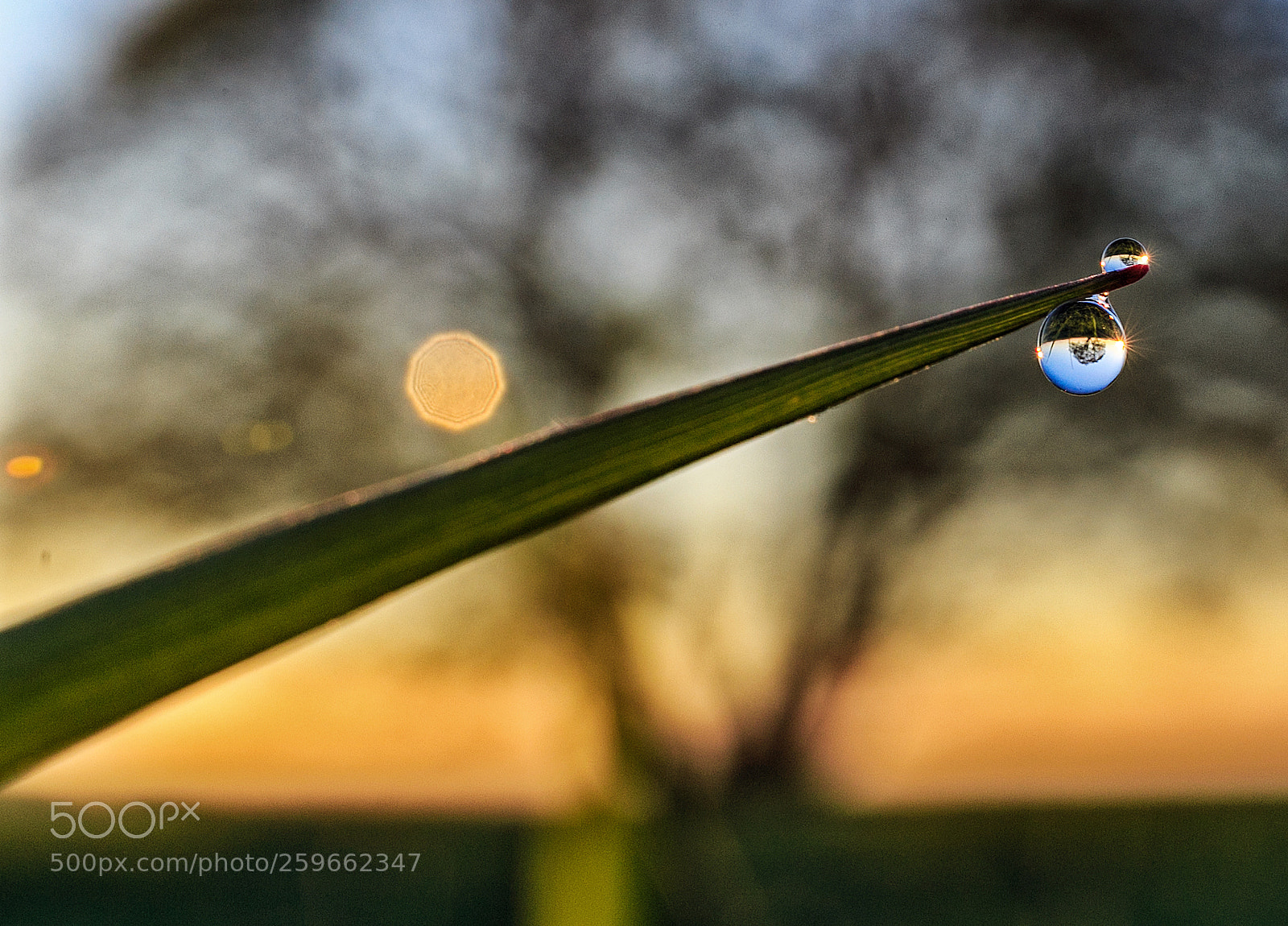 Canon EOS 6D sample photo. Drip photography