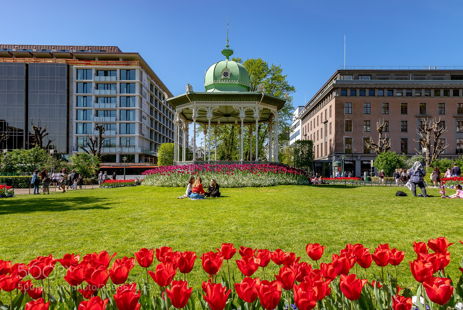 Canon EOS 6D Mark II sample photo. Bergen city park  photography