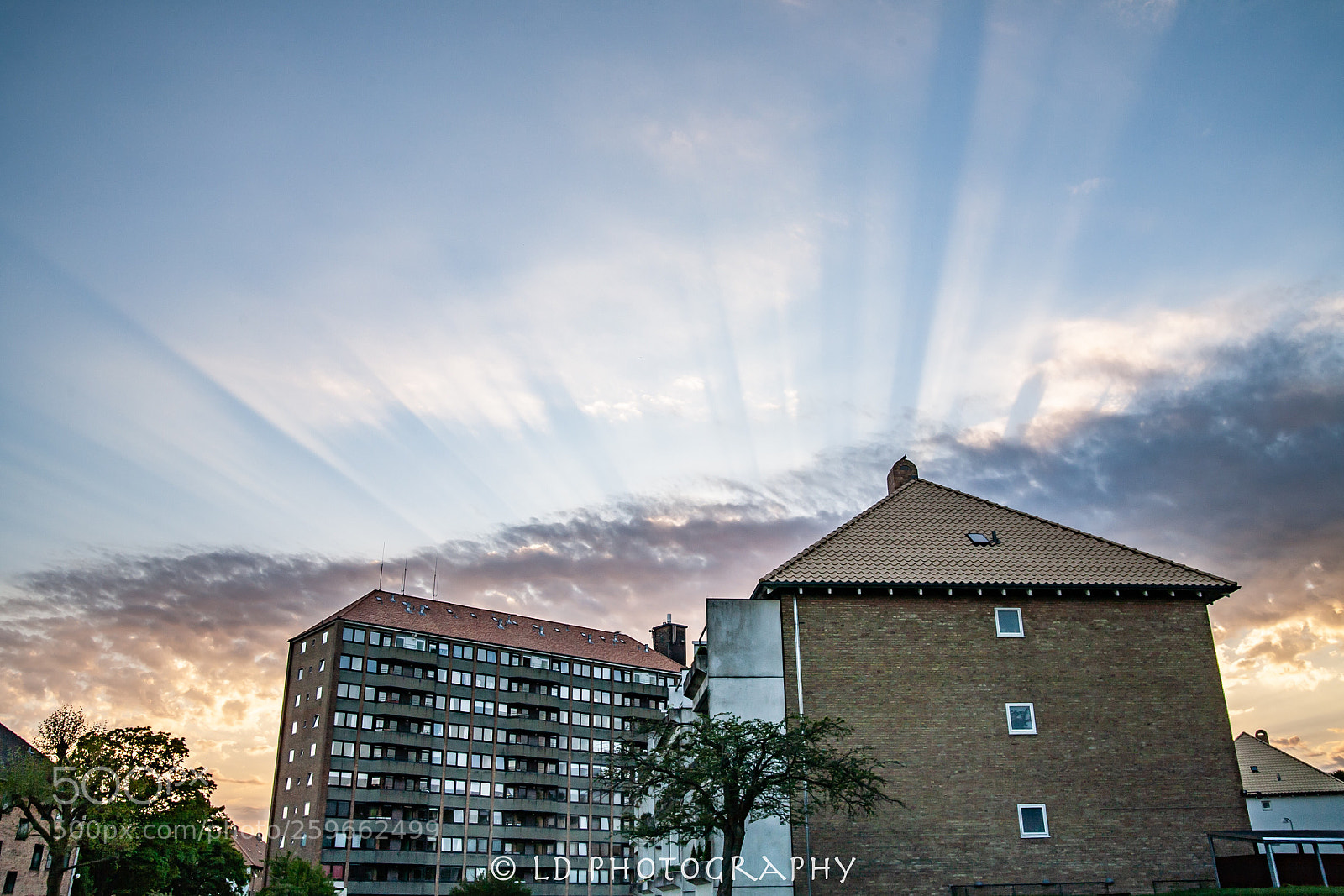 Canon EOS 5D sample photo. Untitled photography
