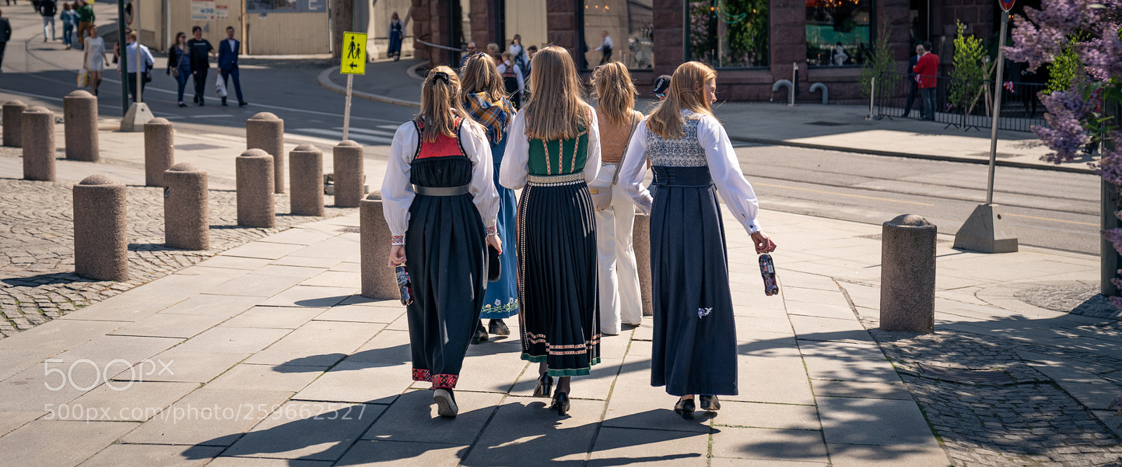 Sony a7 III sample photo. Untitled photography