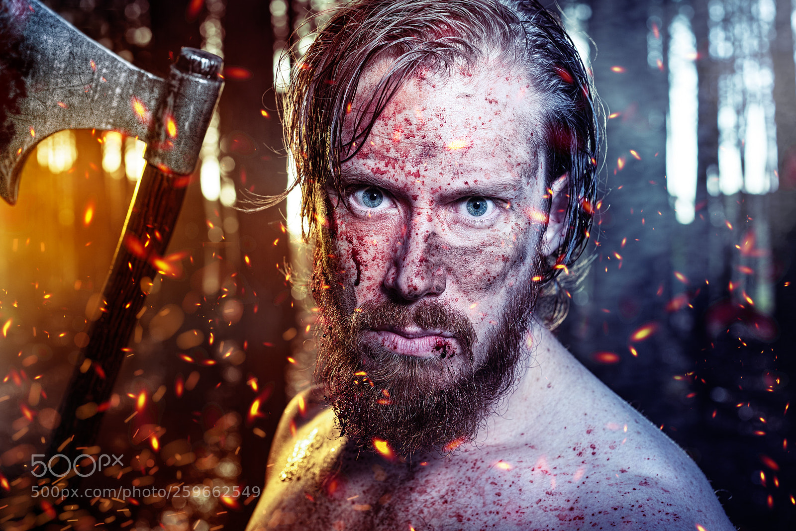 Nikon D750 sample photo. The viking photography