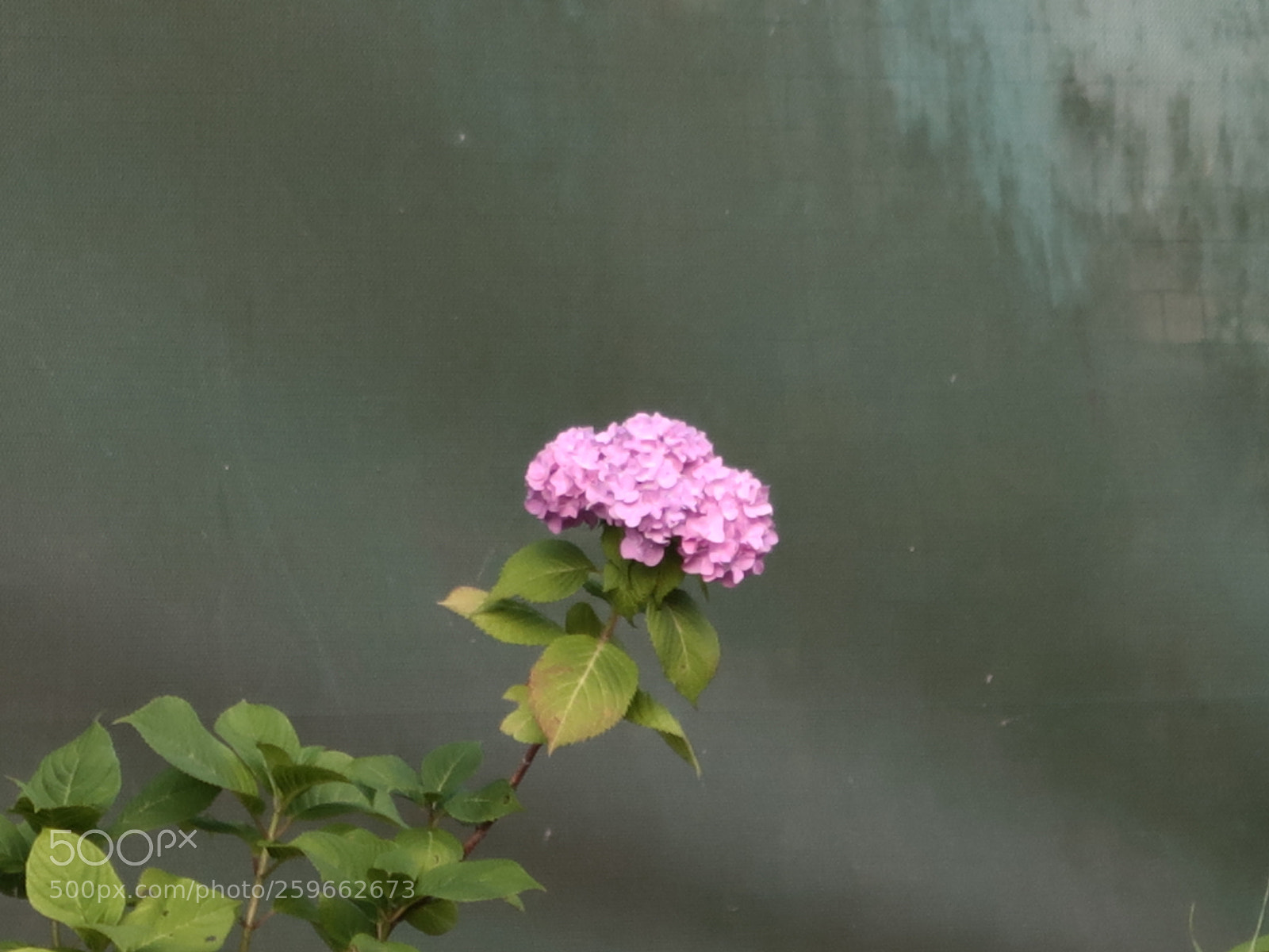Canon PowerShot G7 X Mark II sample photo. Img photography