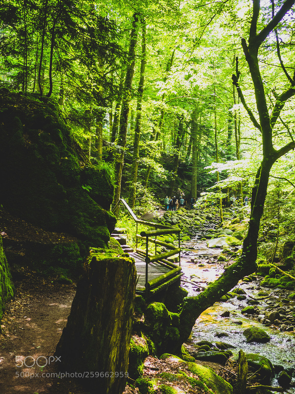Olympus OM-D E-M1 sample photo. Black forest falls 3 photography