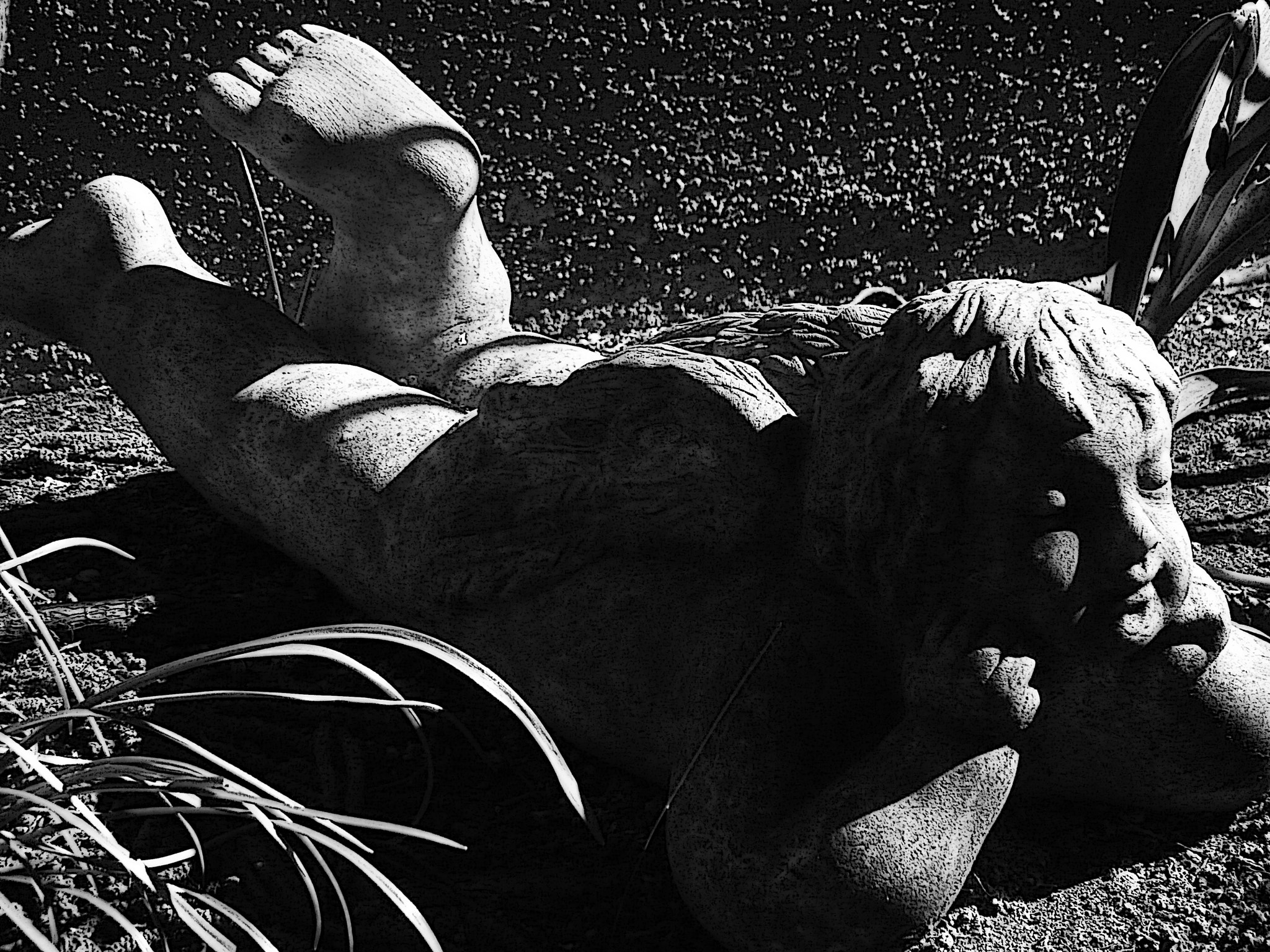 Leica V-Lux 20 sample photo. Angels take sun bath too. photography