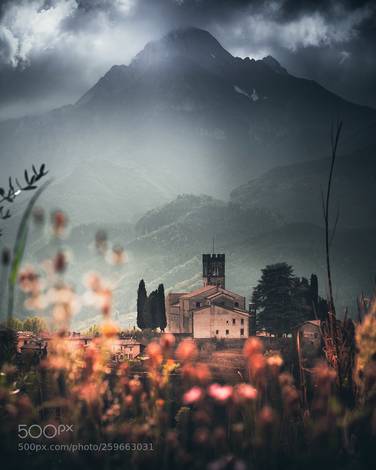 Olympus OM-D E-M1 Mark II sample photo. Sotto il cielo di photography