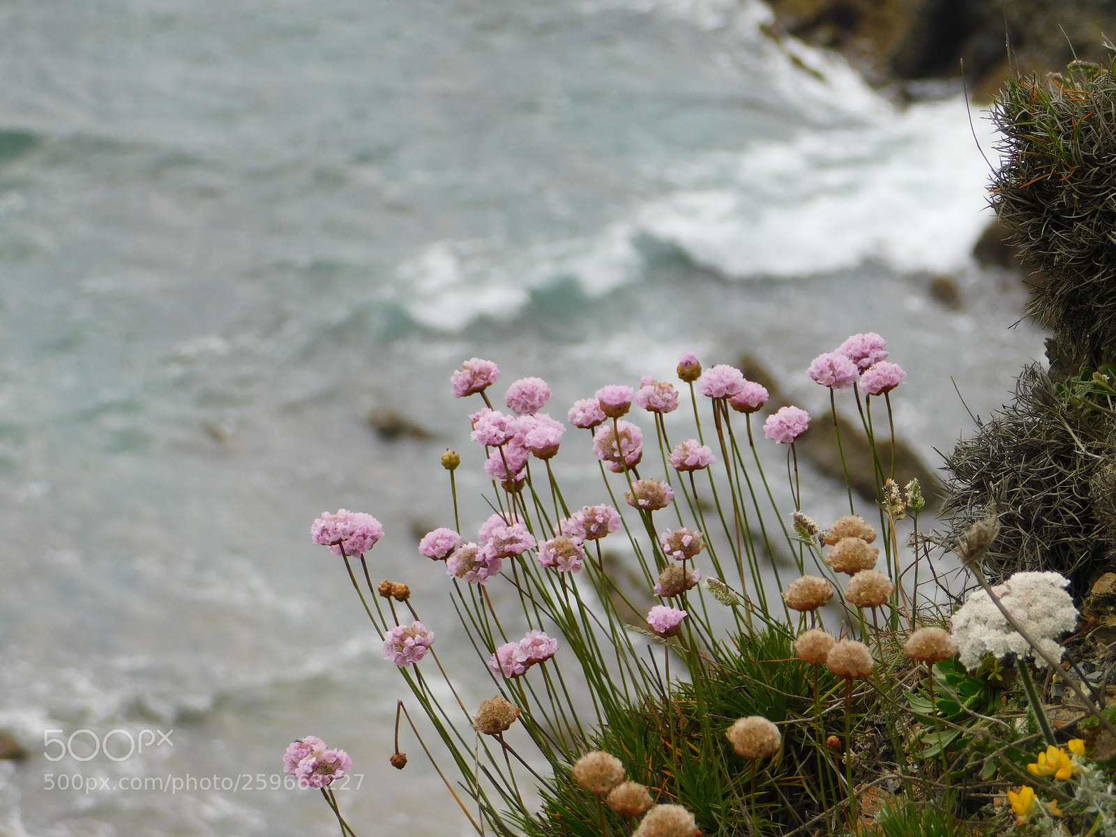 Nikon Coolpix B500 sample photo. By the ocean photography