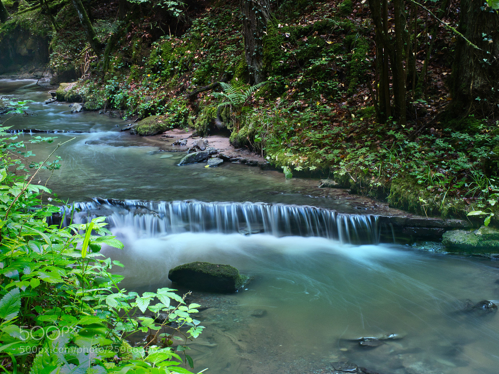 Panasonic Lumix DC-GH5 sample photo. River in forest photography