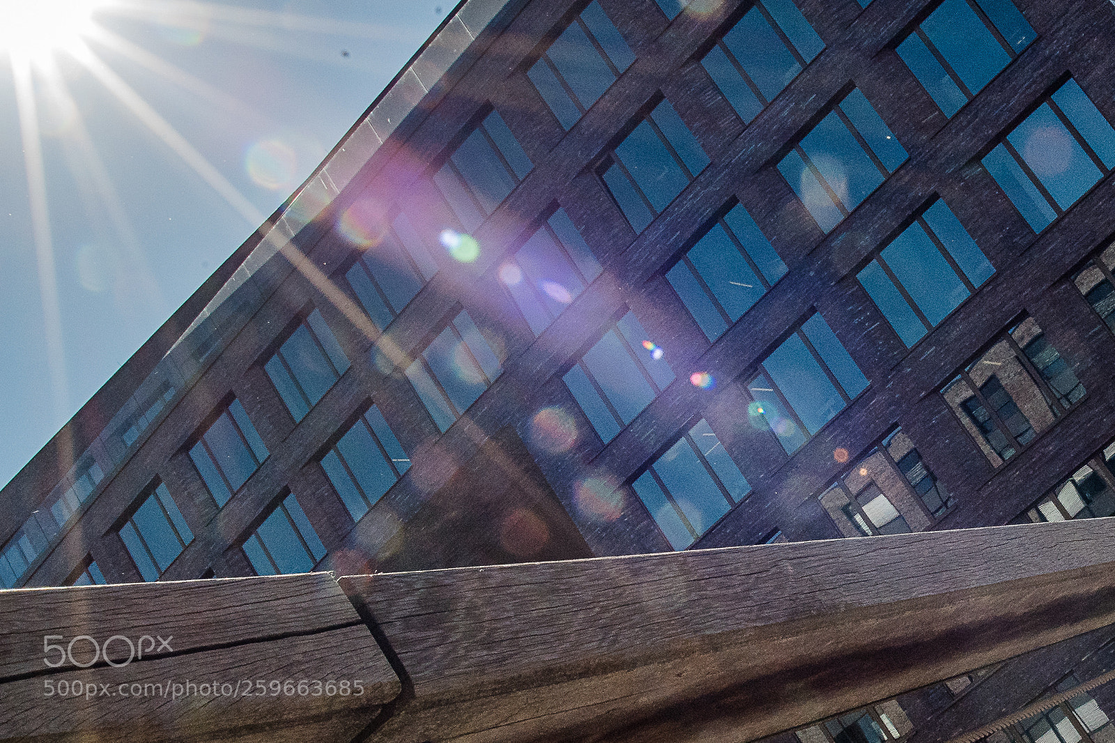 Nikon D750 sample photo. Sunbeams photography