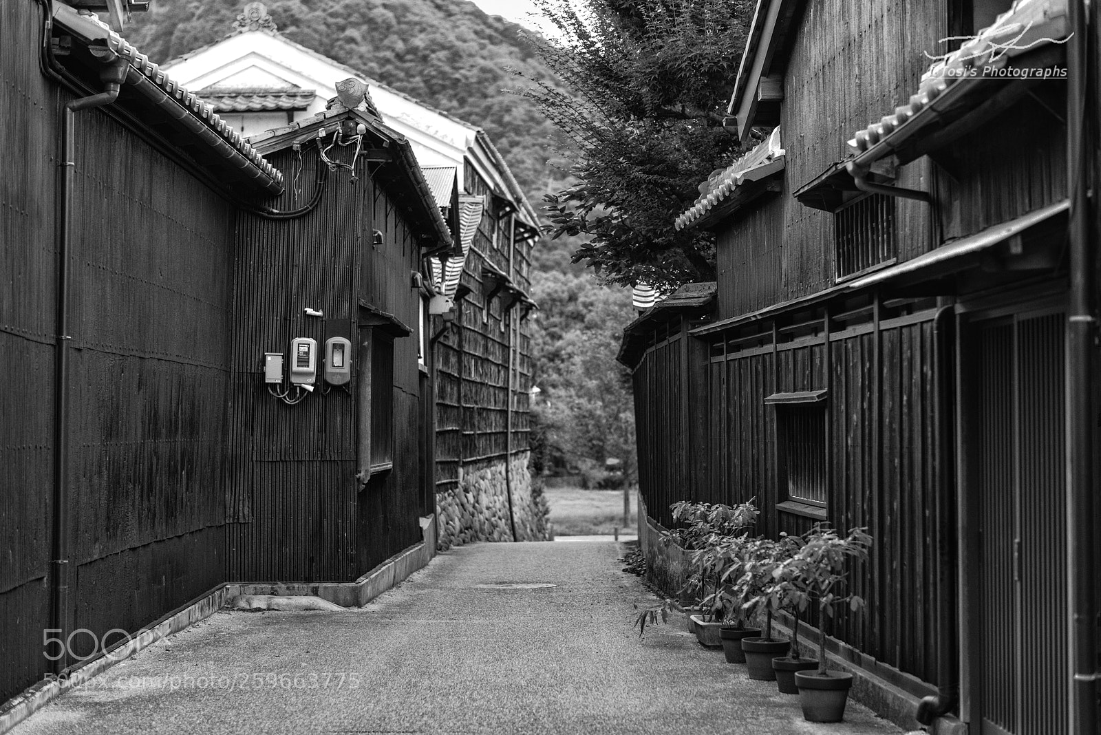 Nikon D810 sample photo. Alley photography