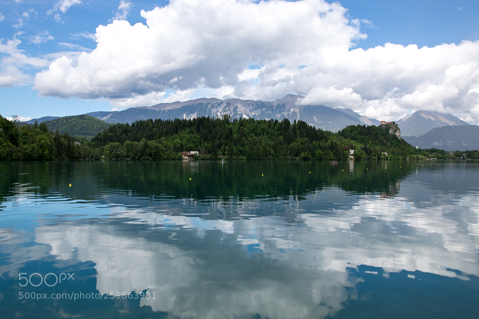 Nikon D7200 sample photo. Upside down photography