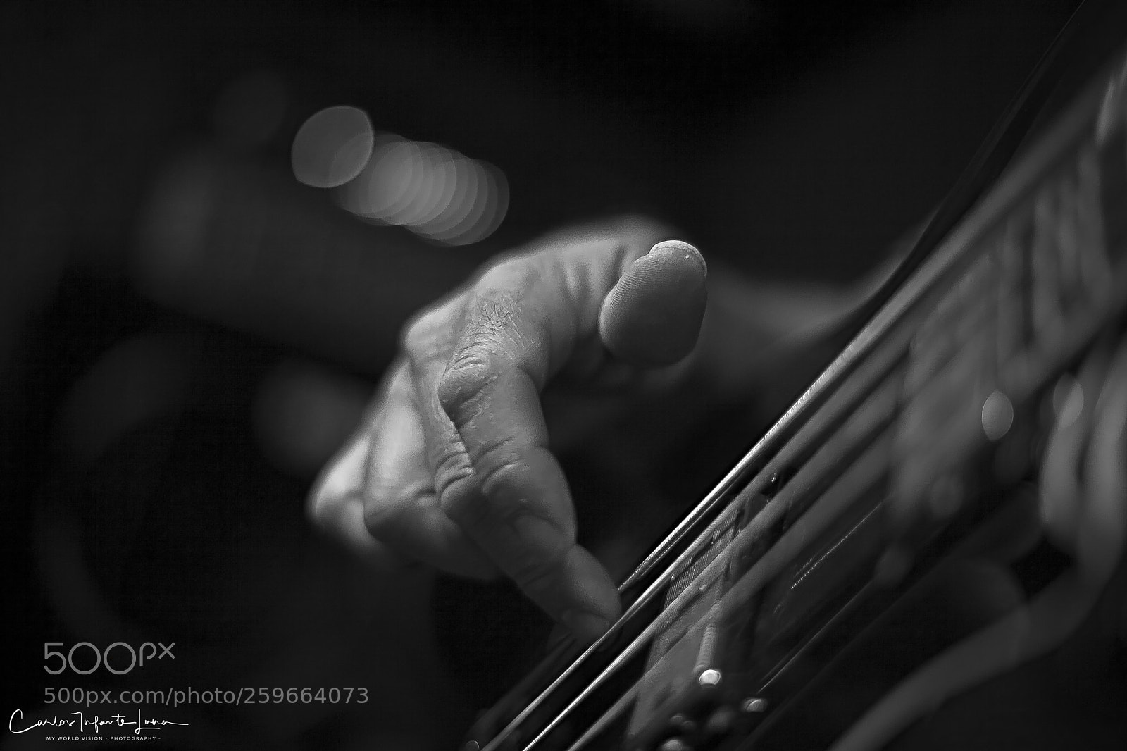 Canon EOS 5D Mark II sample photo. Four strings photography