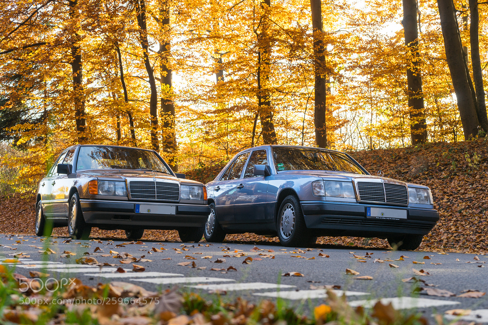 Sony a7 II sample photo. Double classic photography