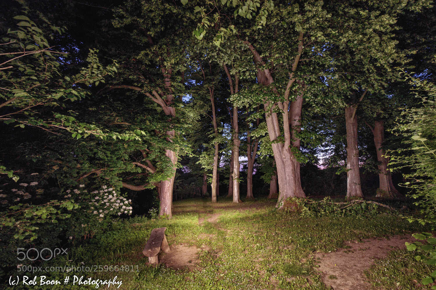 Canon EOS 5DS sample photo. Forest @ kluis 1 photography