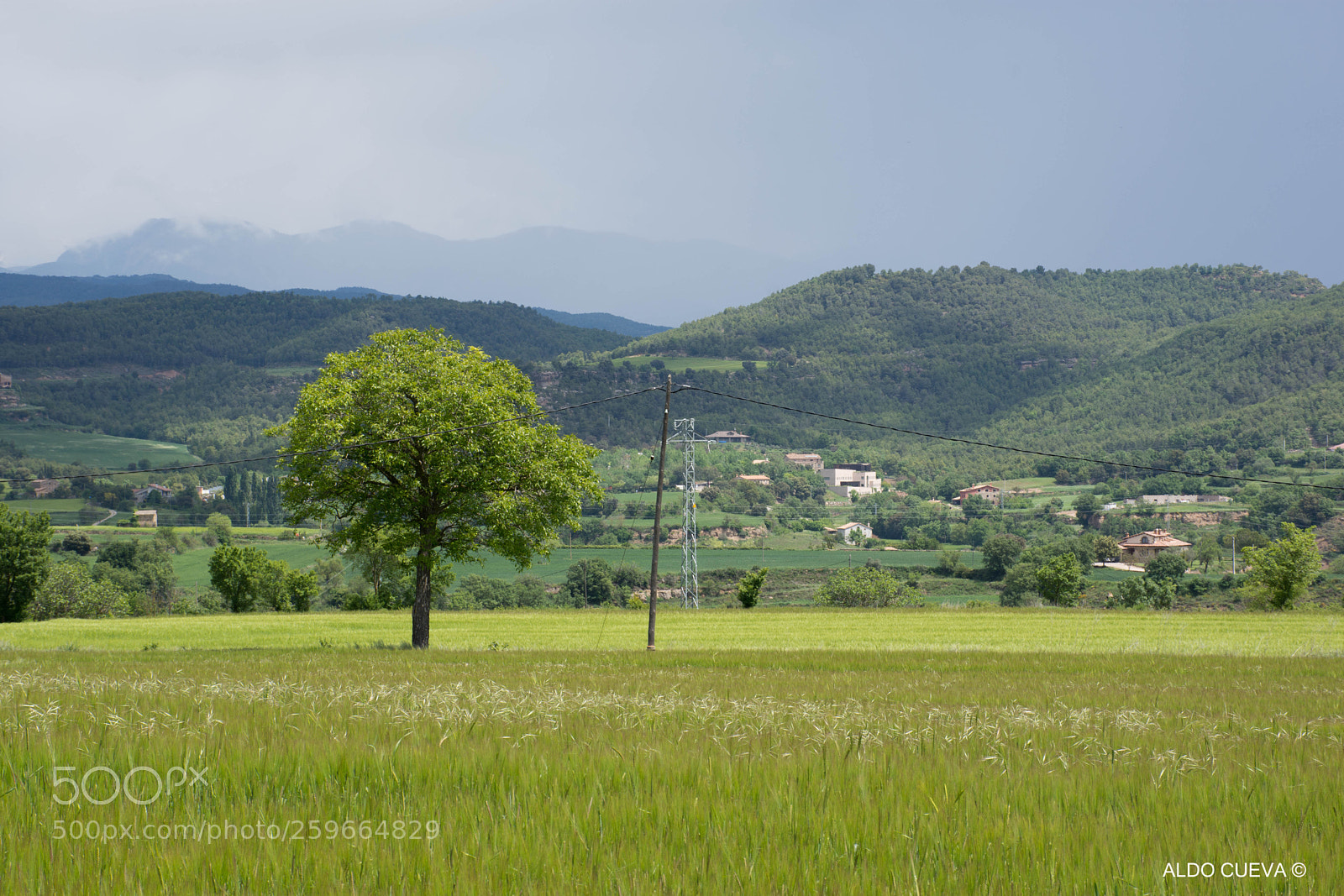 Nikon D7200 sample photo. Solsona - may18 photography