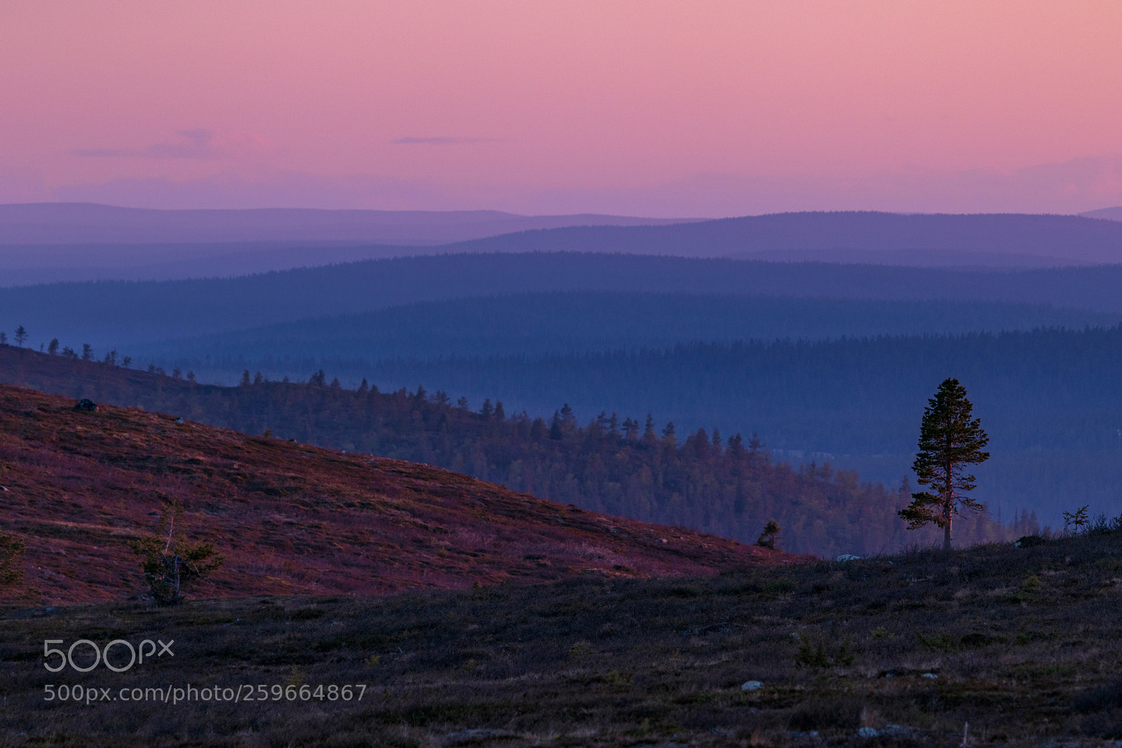 Canon EOS 200D (EOS Rebel SL2 / EOS Kiss X9) sample photo. Nightless night in lapland photography