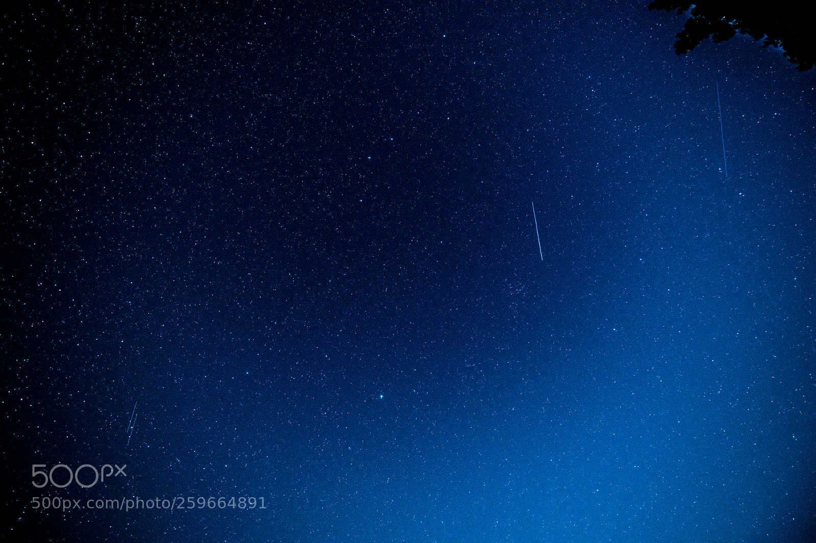 Nikon D850 sample photo. Under the sky photography
