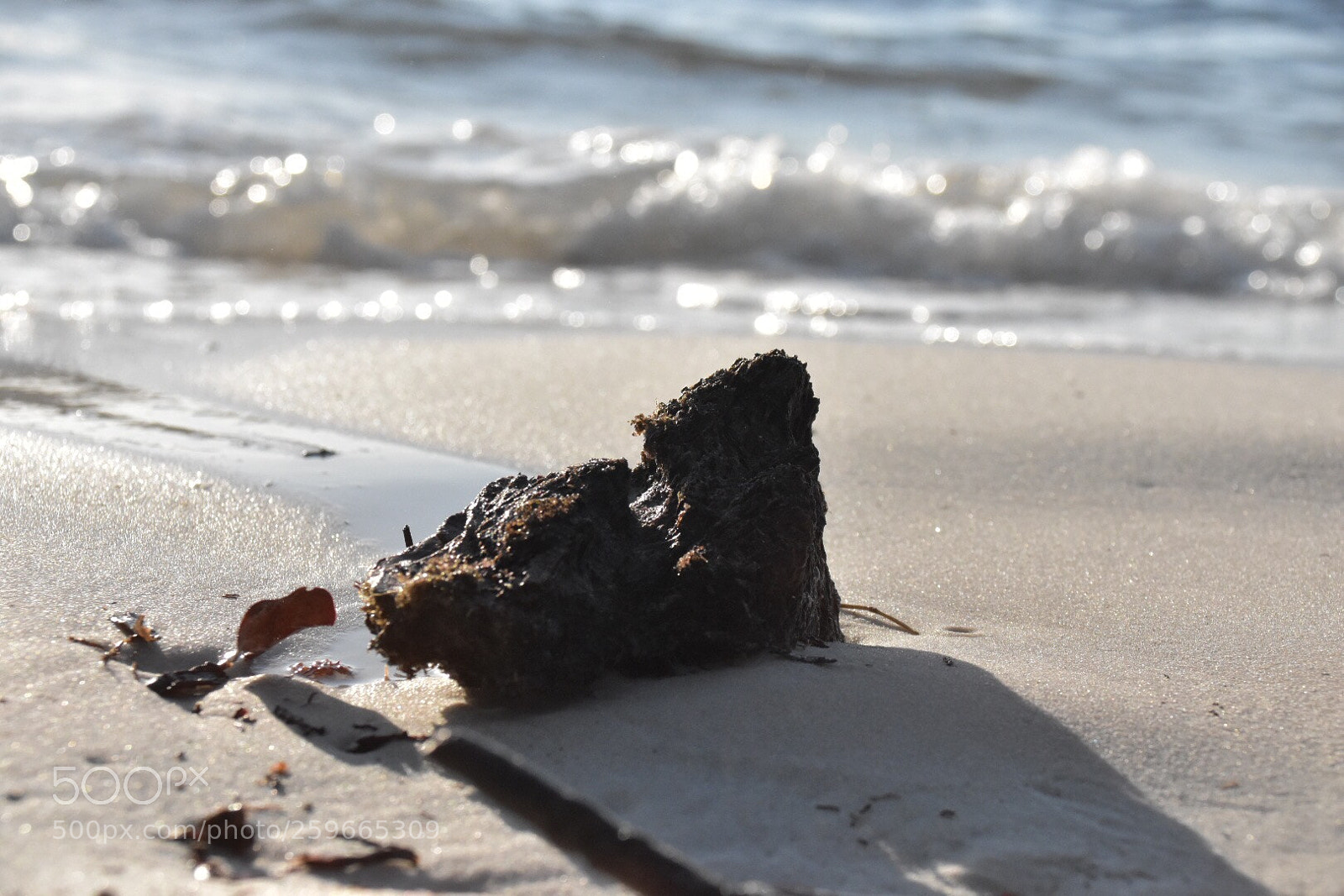 Nikon D7200 sample photo. Untitled photography