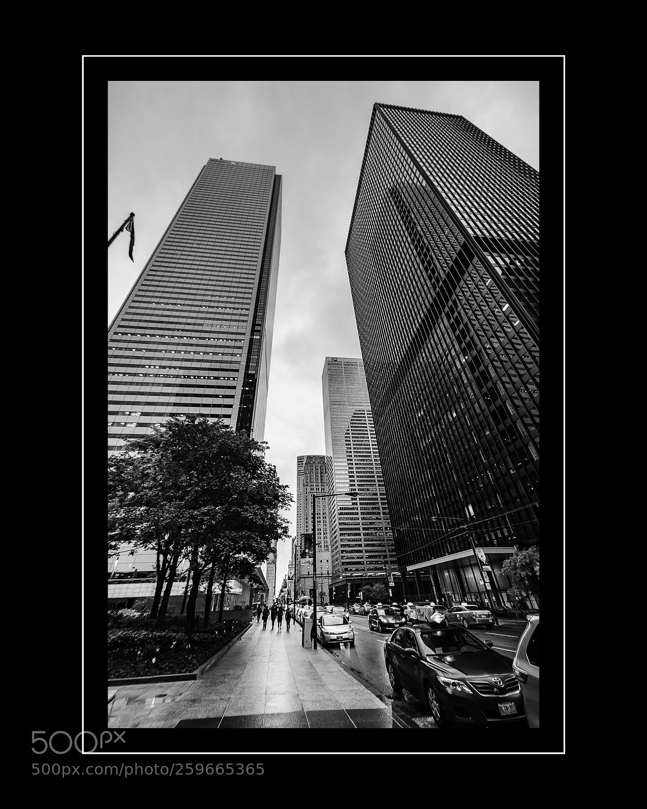 Nikon D7100 sample photo. Toronto photography