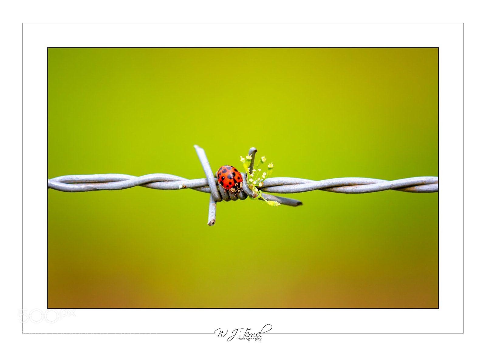 Canon EOS 5D Mark IV sample photo. Untitled photography