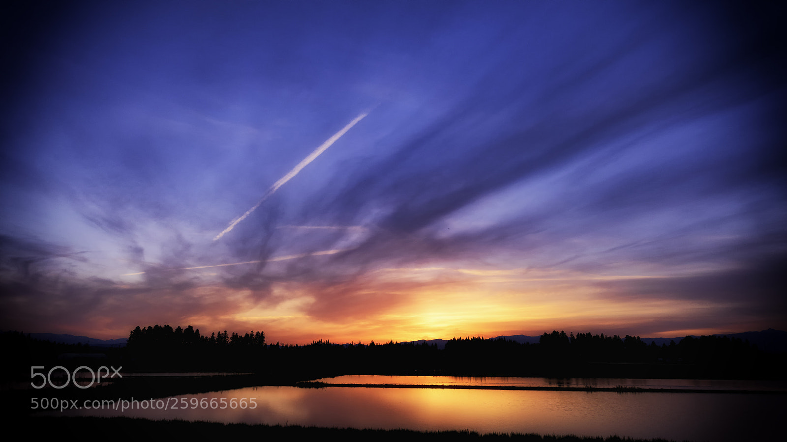 Nikon D810 sample photo. 田園の夕焼け photography