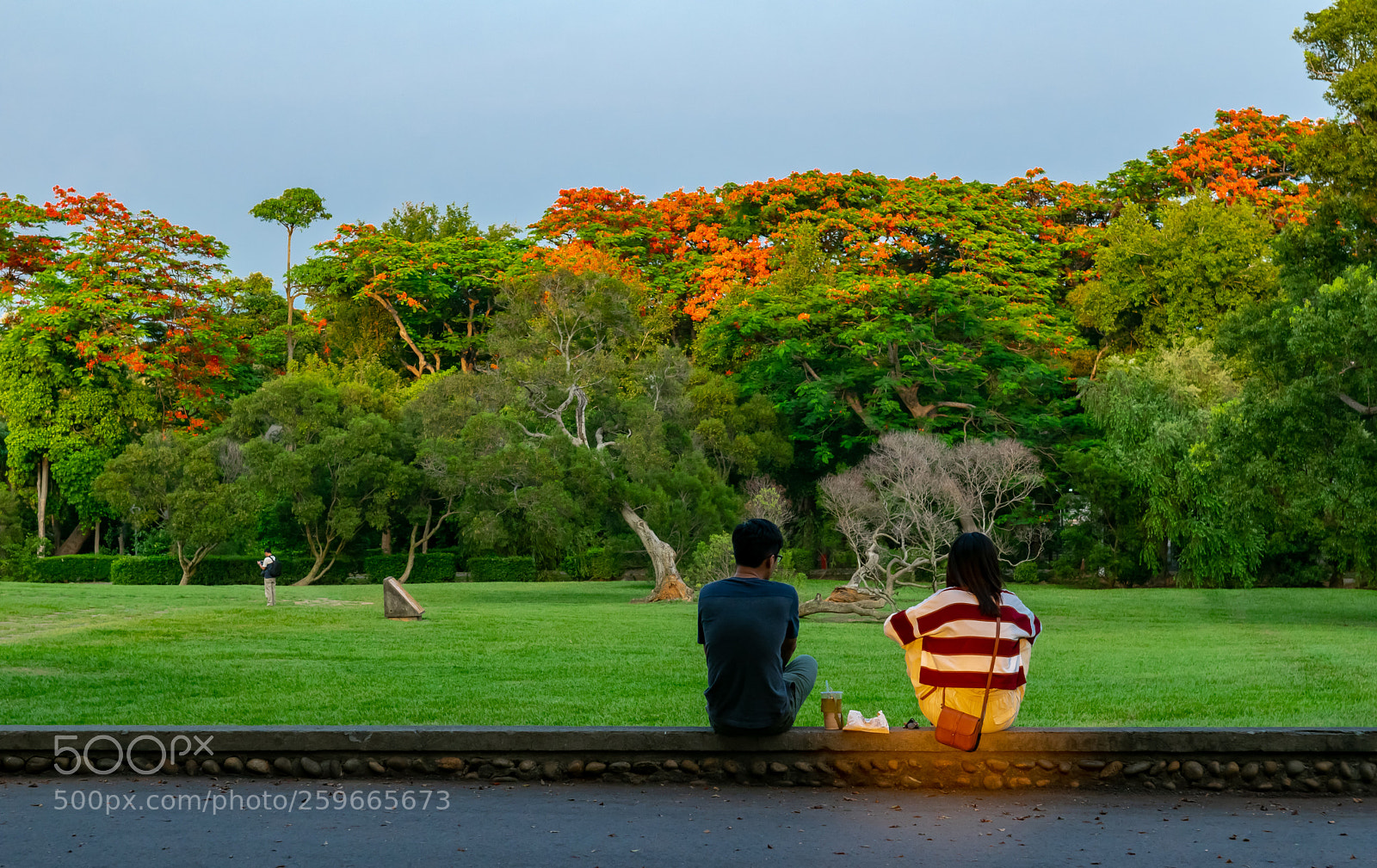 Nikon D5300 sample photo. An idyllic picnic photography
