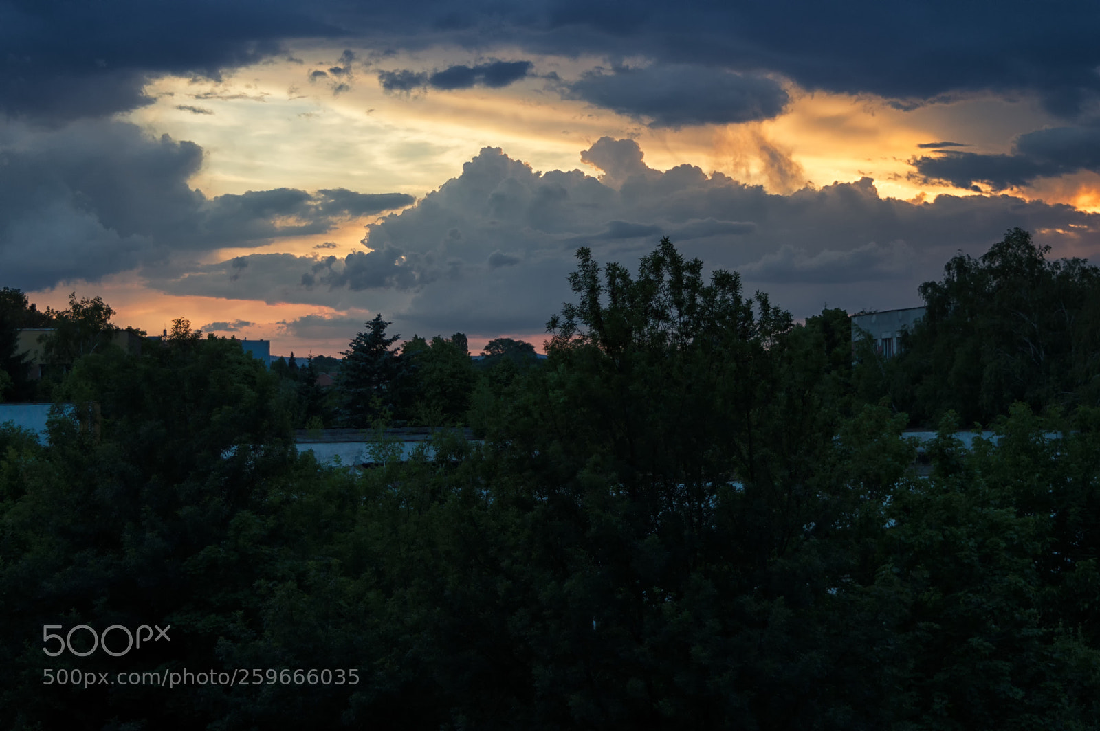 Nikon D3200 sample photo. The sky above us photography