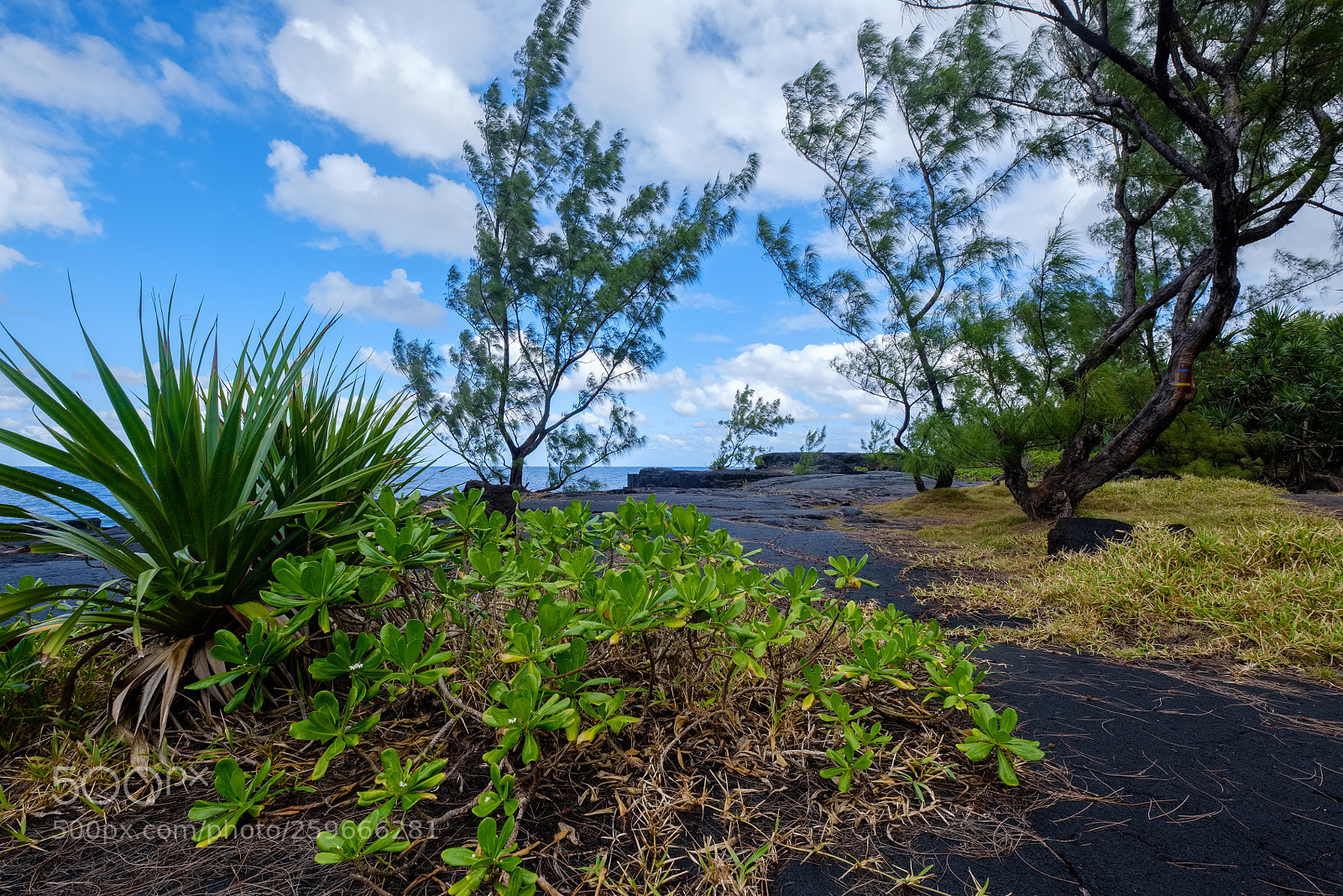 Fujifilm X-T2 sample photo. Wild coast with tropical photography
