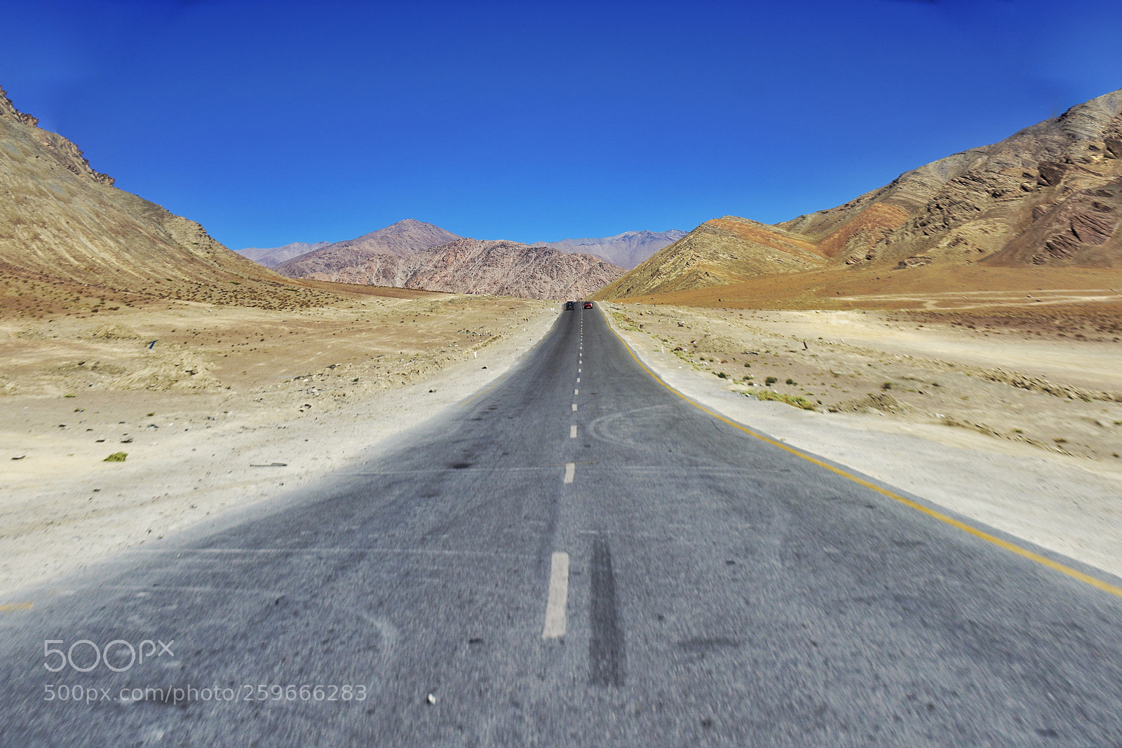 Nikon D7200 sample photo. Untitled photography