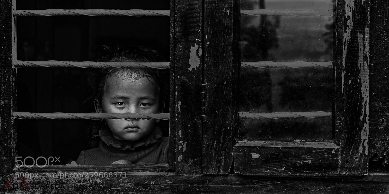 Nikon D750 sample photo. Window photography