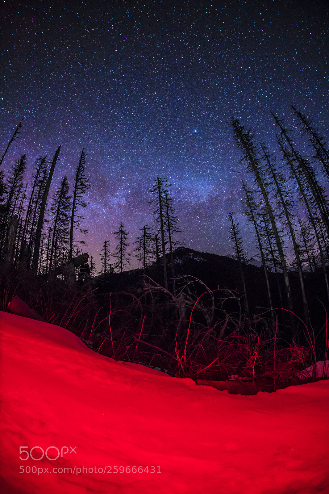 Canon EOS 6D Mark II sample photo. Tatra mountains photography