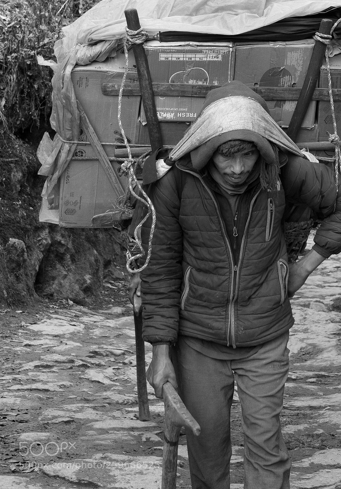 Nikon D600 sample photo. Determination ... photography