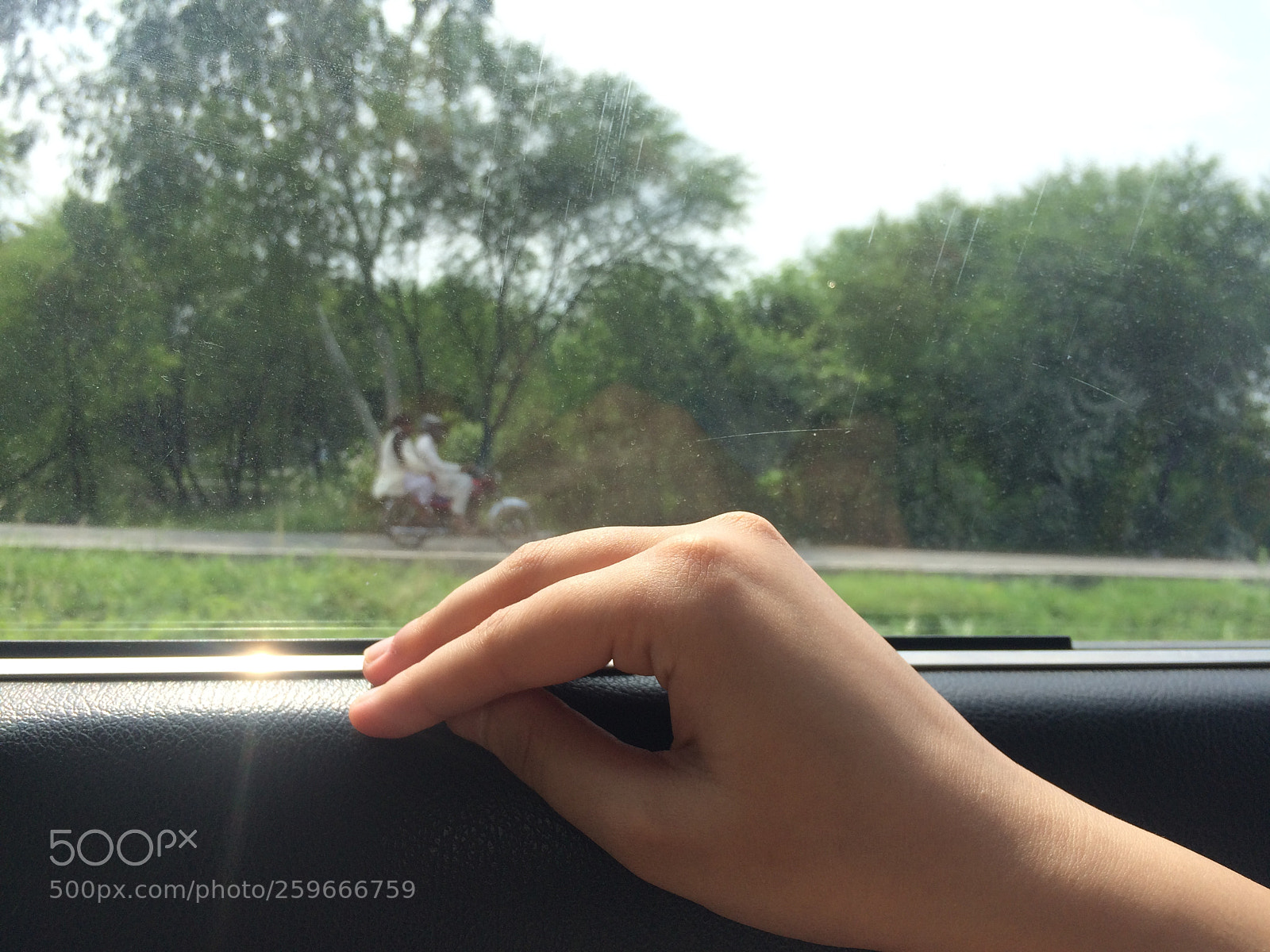 Apple iPhone 5s sample photo. Be your own kind photography