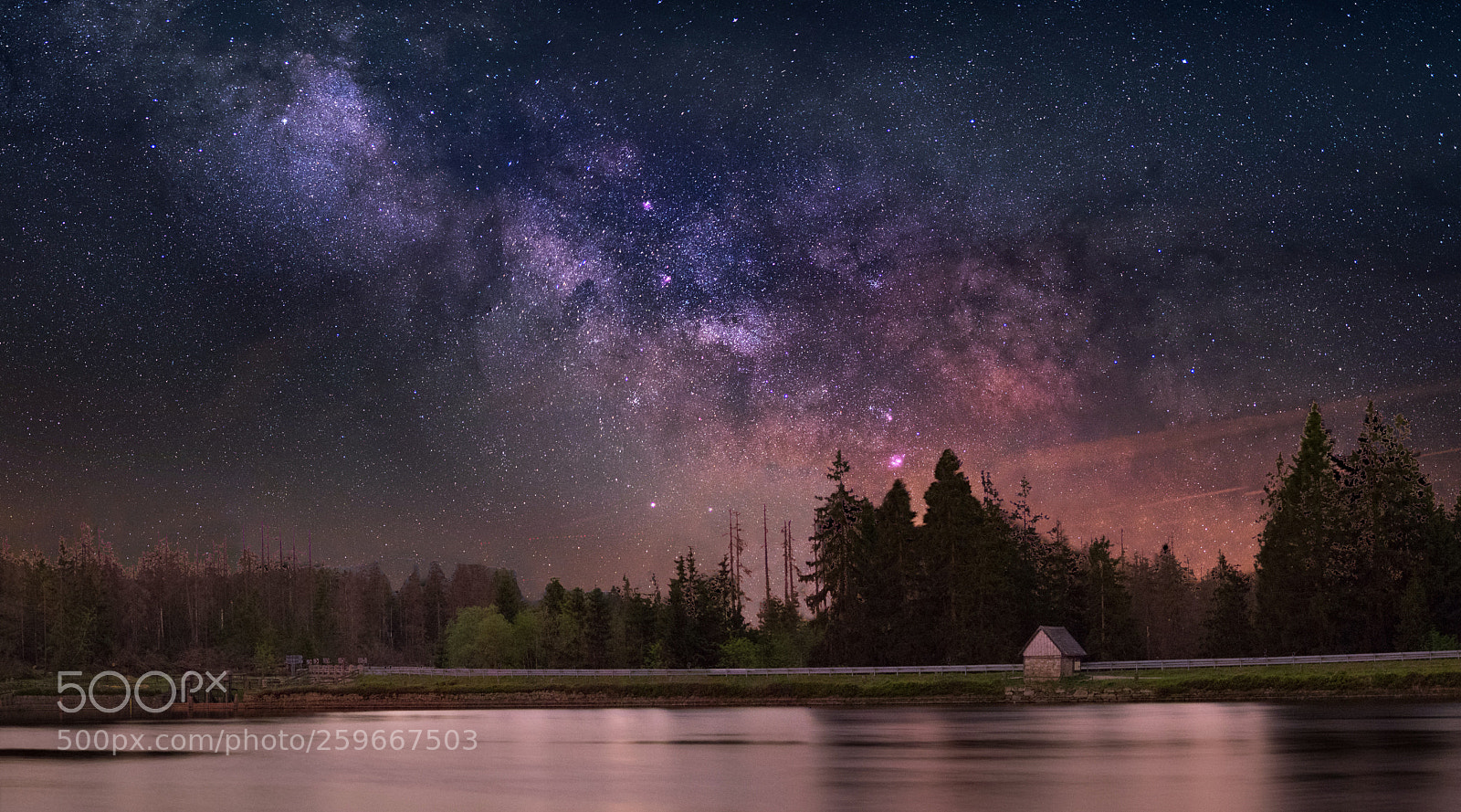Nikon D750 sample photo. Oderteich bei nacht photography