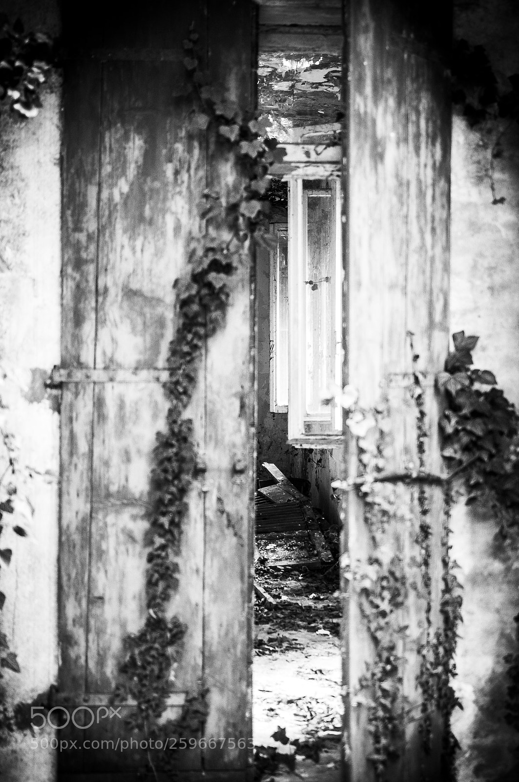 Nikon D3200 sample photo. Ghostly space photography