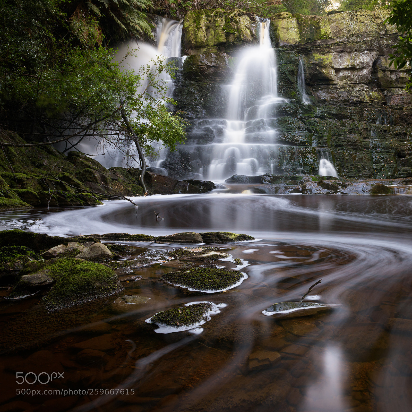 Nikon D810 sample photo. Flow from falls photography